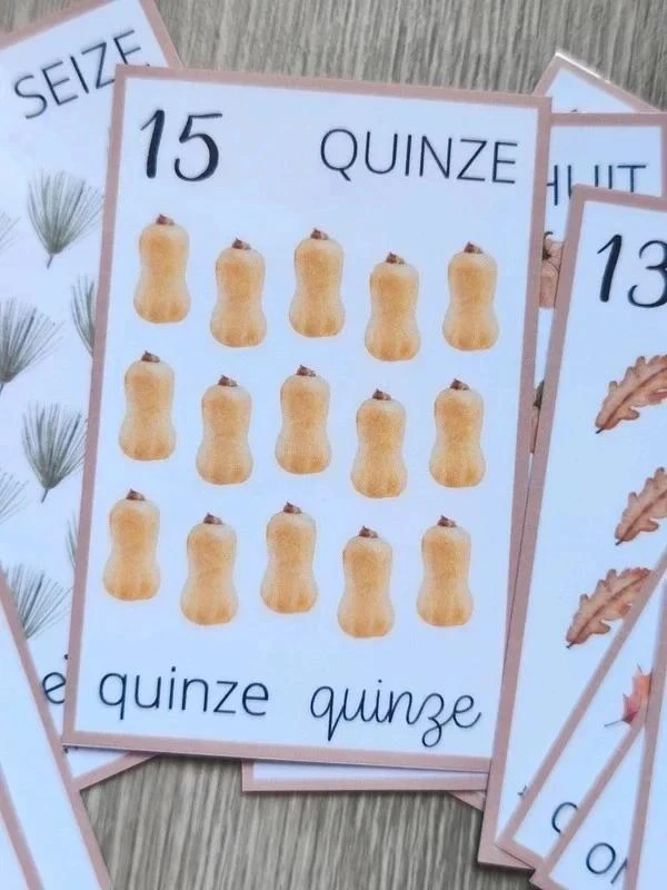Grandes cartes pour apprendre à compter de 1 à 20 – photo 4